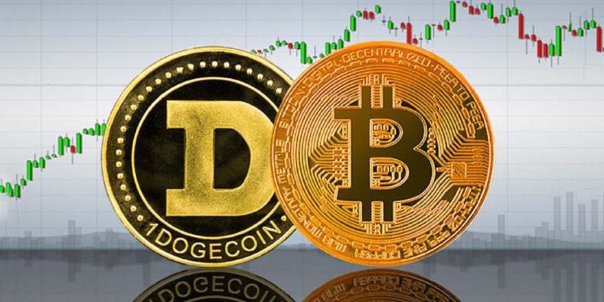Bitcoin vs Dogecoin